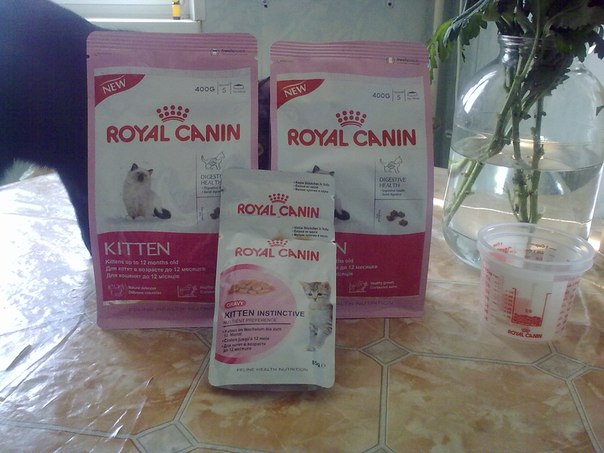 Royal Canin дарит подарки вашим кисам. Халява.:)))