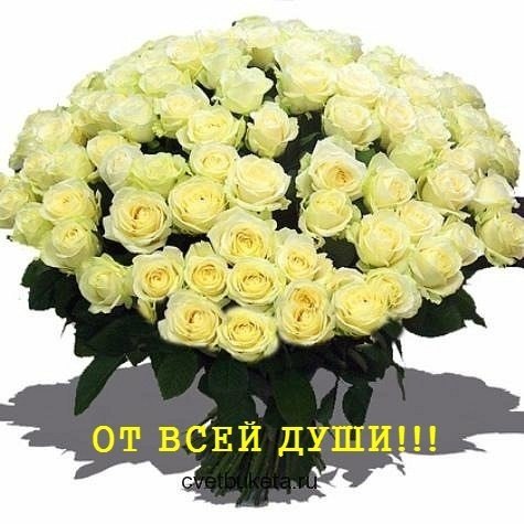 Поздравления с днем рождения молодым родителям