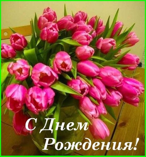 Поздравления на 33 год рождения