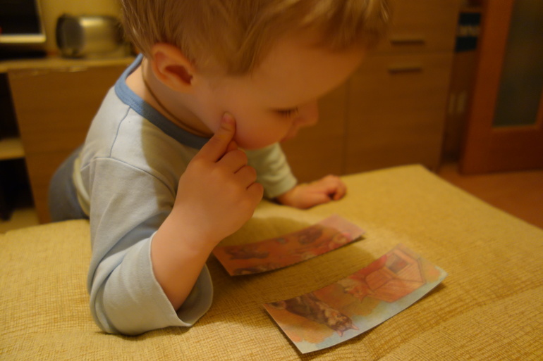 Отчёт о ТН "Домашние животные" (2 день)