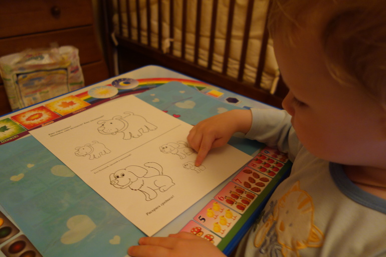 Отчёт о ТН "Домашние животные" (2 день)