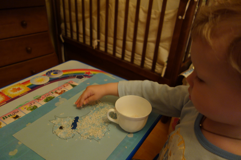 Отчёт о ТН "Домашние животные" (2 день)