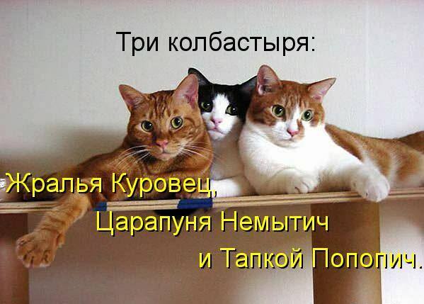 мои любимцы!