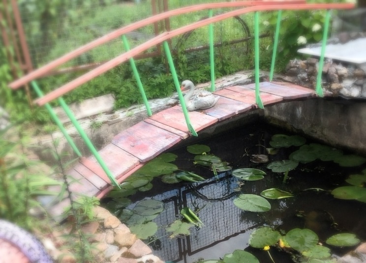 Наш любимый летний домик)