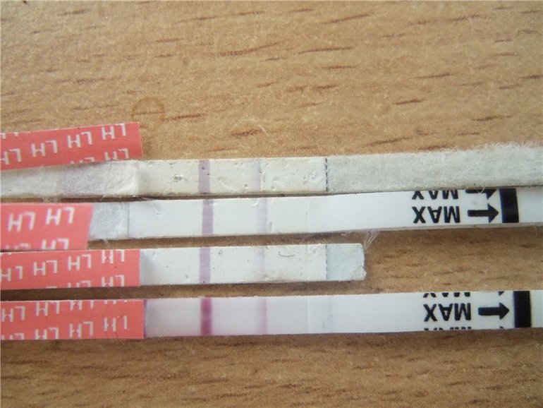 Мой кот - урод!!!