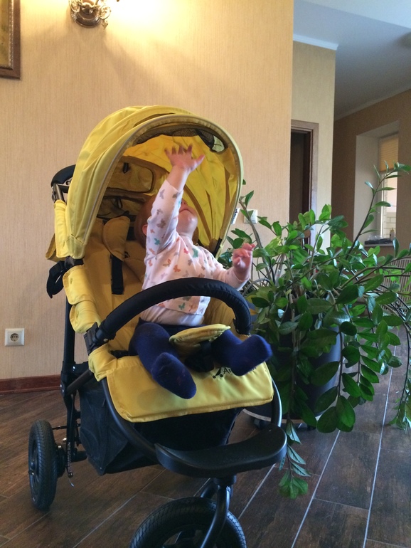 Airbuggy coco brake - наша новая любимица)))