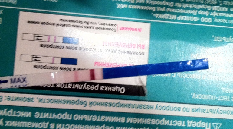 Мой первый тест... Это правда???