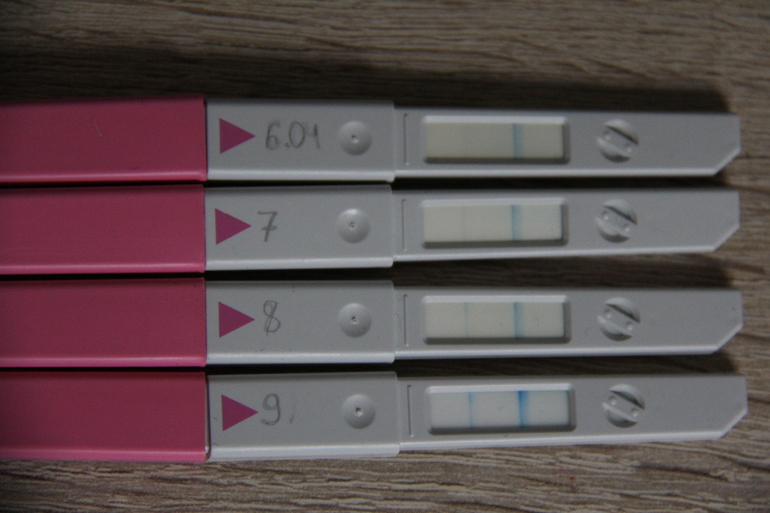 посмотрите пожалуйста