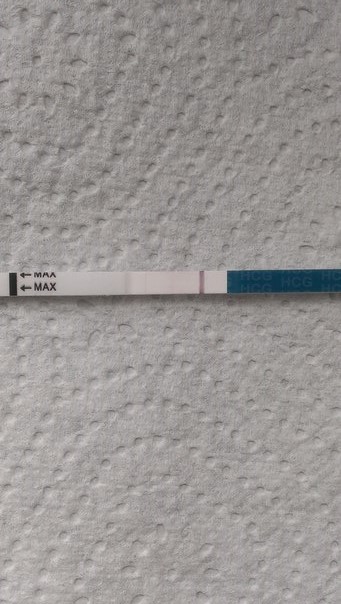 может быть такое? я до этого выкладывала тесты  на них была еле заметная полоска ,может через фото её было не видно ,но сегодня утром сделала тест и полоска стала ярче ) ,но пришли М ((((