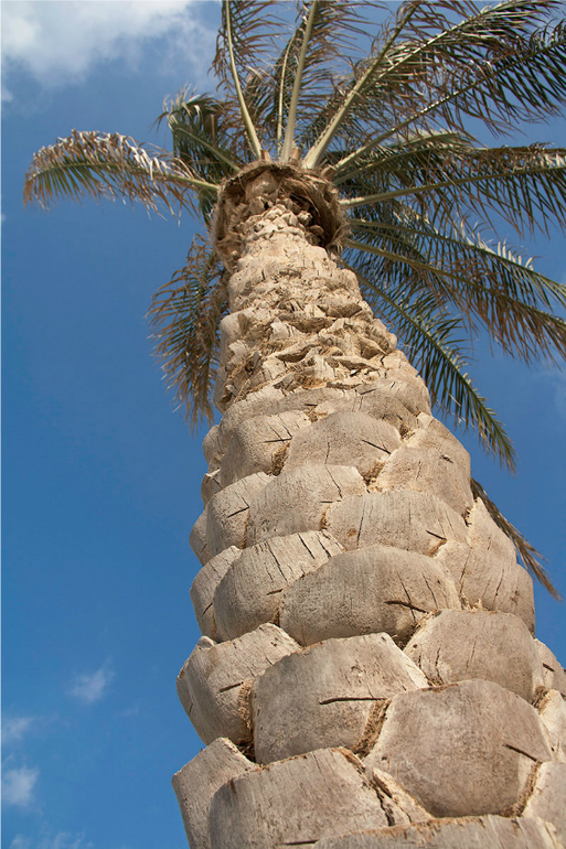 Шарджа. Пляж.