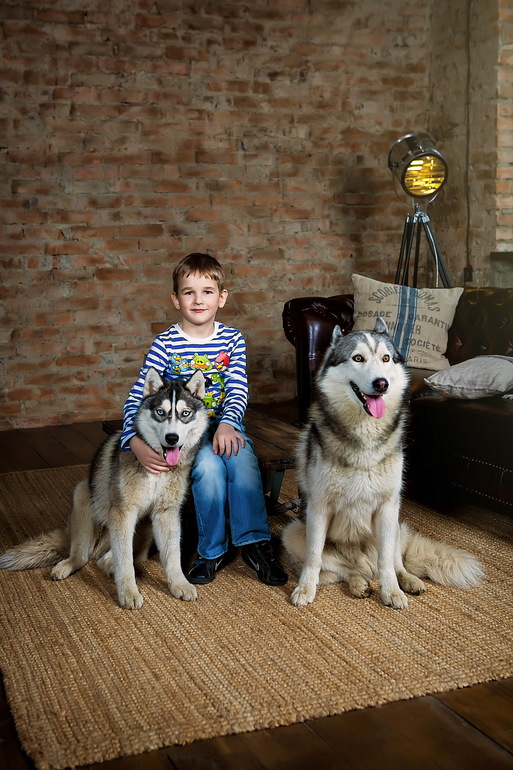 Фотосессия с Хаски. Санкт-Петербург, 12 апреля