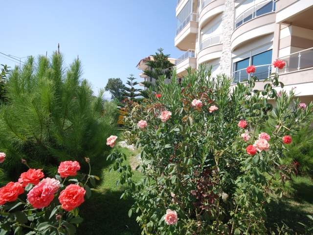 Сдаю апартаменты 1+1 в Турции, Алания, район Кестель.