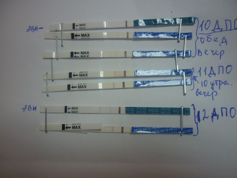 12 ДПО....Динамика