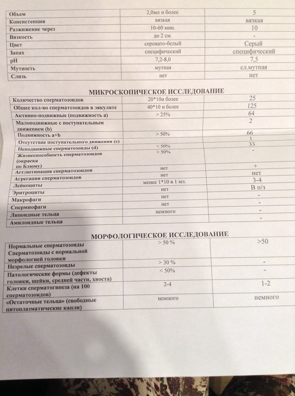 Спермограмма