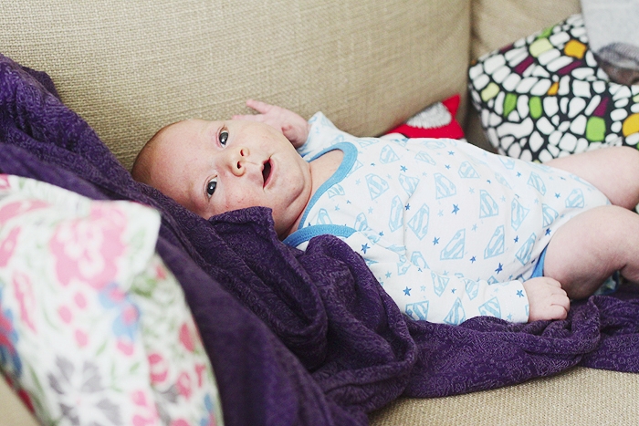 Серенький поссум