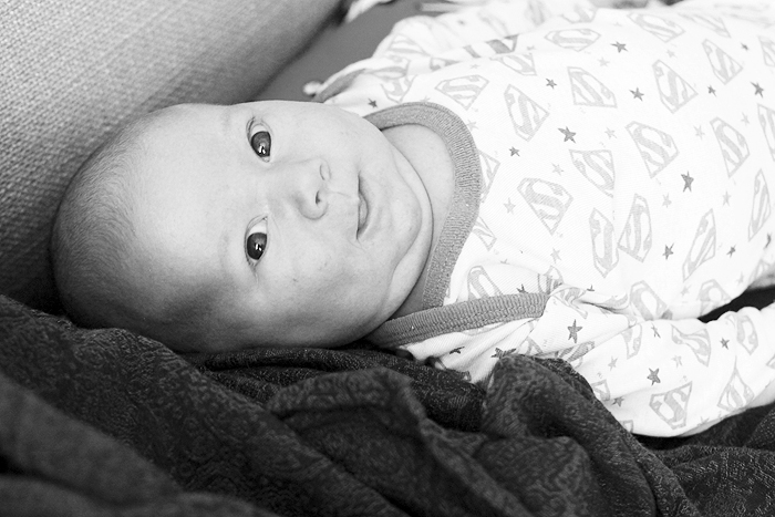 Серенький поссум