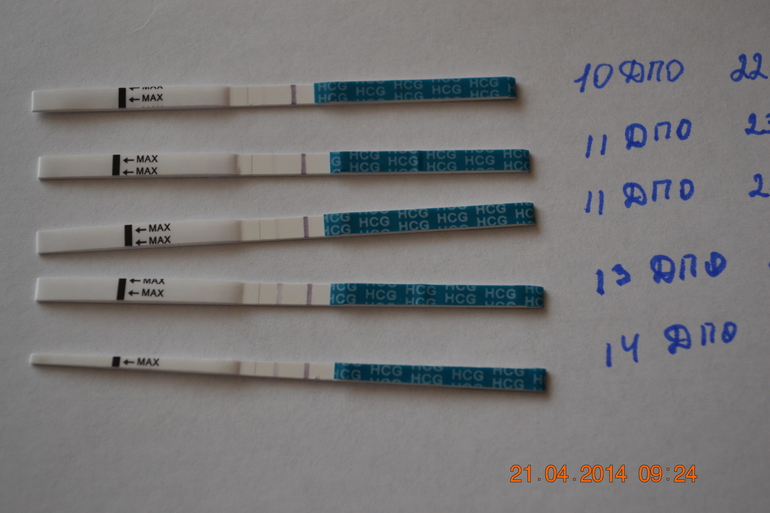 Тестомания добралась и до меня..