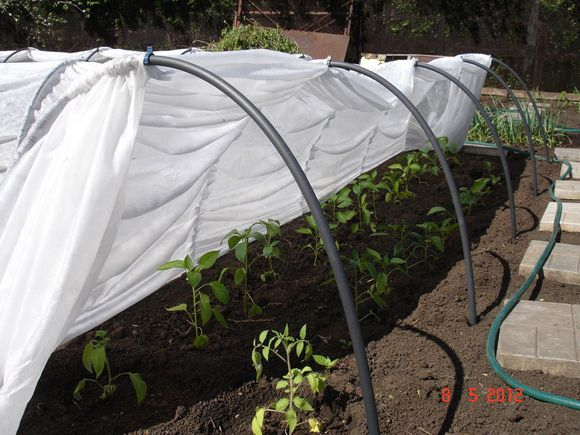 Парнички для дачи, огорода