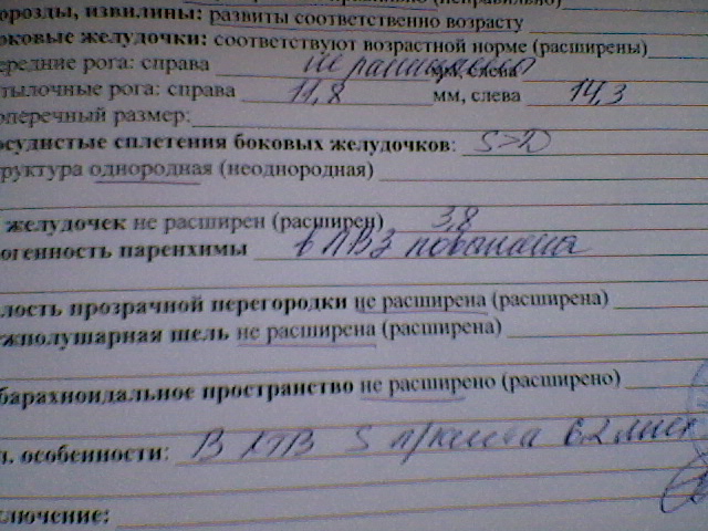 помогите пожалуйста расшифровать узи мозга....