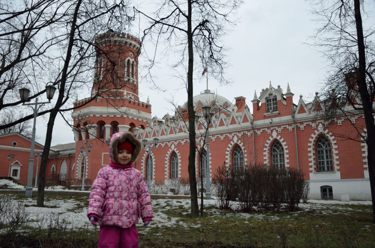 Петровский путевой дворец