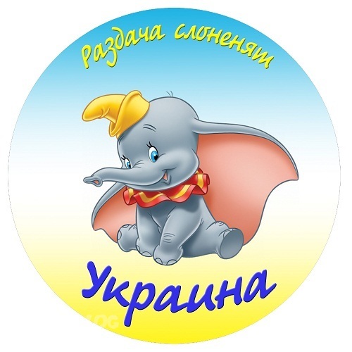 Розыгрыш