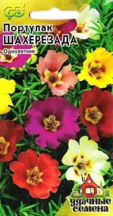 Первые цветы нового сезона