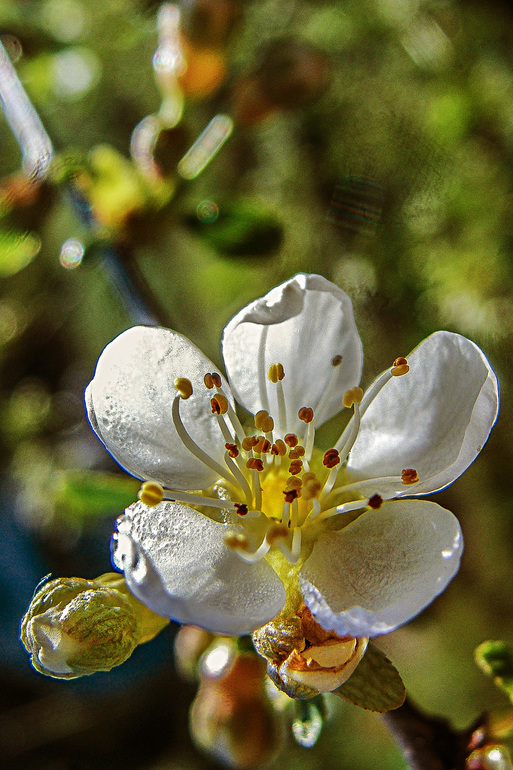 вот такая у нас весна-красна