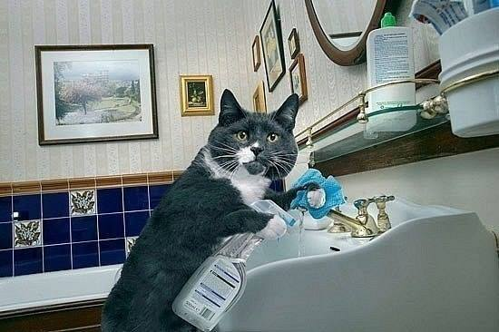 А Вы все успели перед НГ?!