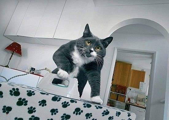 А Вы все успели перед НГ?!