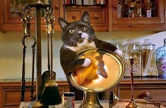А Вы все успели перед НГ?!