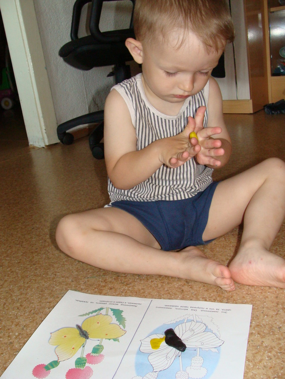 ТЗ "Бабочки-красавицы" проекта "Гуляем-изучаем"