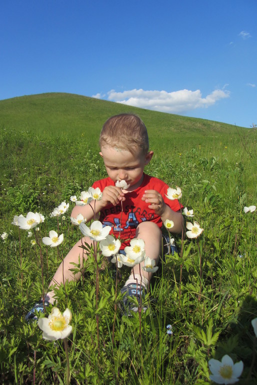 ТЗ "Бабочки-красавицы" проекта "Гуляем-изучаем"