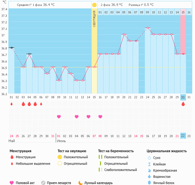 ановуляторный цикл(