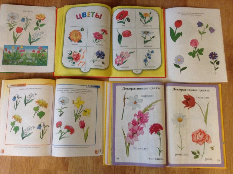 Цветочный день