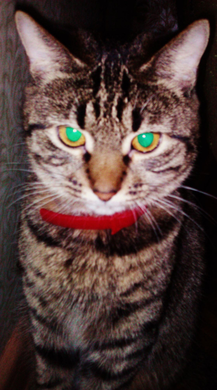 А это наша Нафаня))