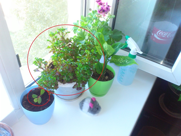 Помогите с названиями, пожалуйста!