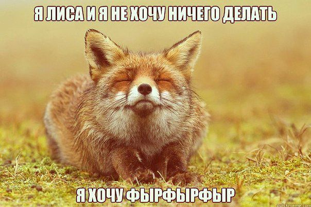 Приветственный