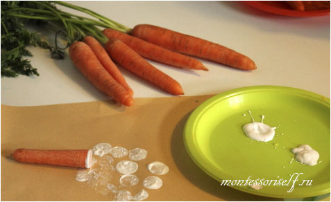 Рисование и печать морковкой! Фотоотчет :)