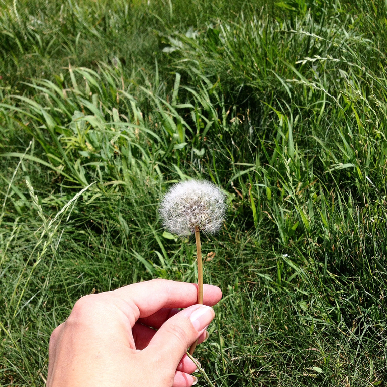 Субботнее утро...