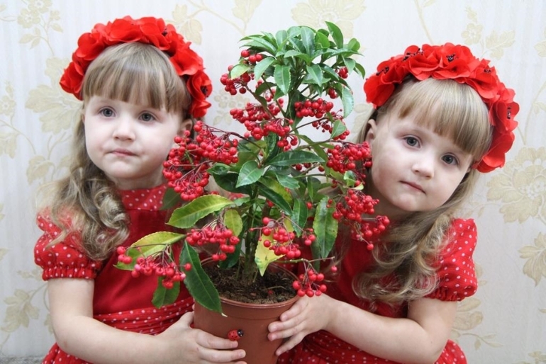 Девушки в красном...