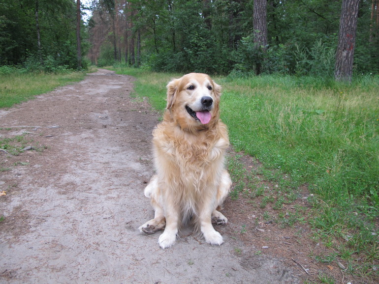 Ральф - Orphey way to light