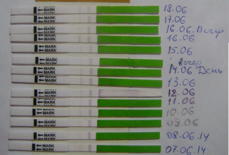 Нужно ваше мнение про О