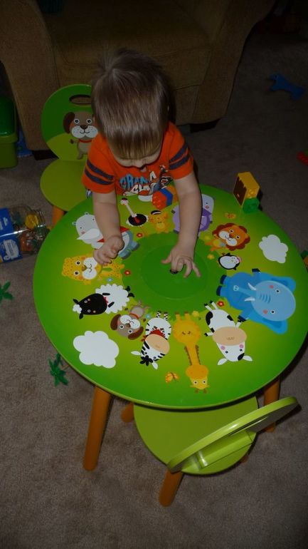 ТН Домашние любимцы - День 2 - Котята