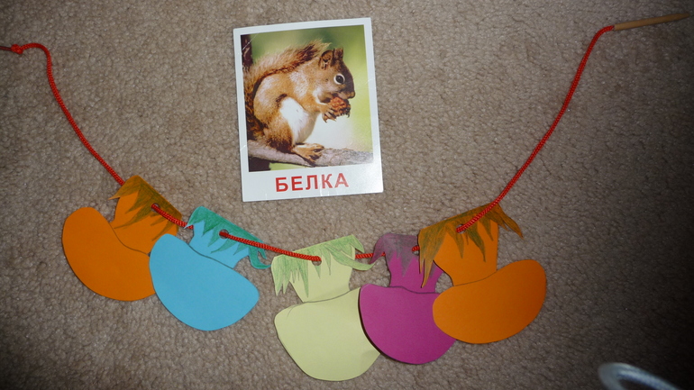 ТН "Лесные друзья" - День 5 - Белка