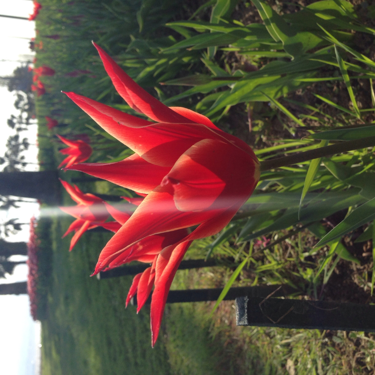 Весна пришла,весне дорогу)))