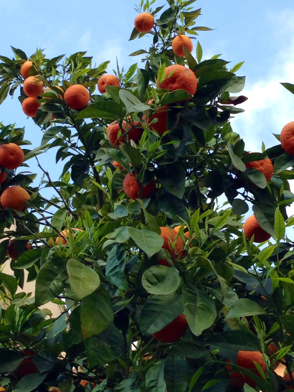 Весна пришла,весне дорогу)))