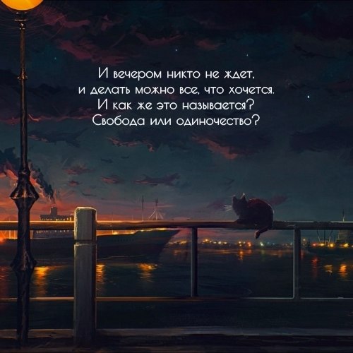 Цитаты о вечере из книг Цитаты о вечере из книг