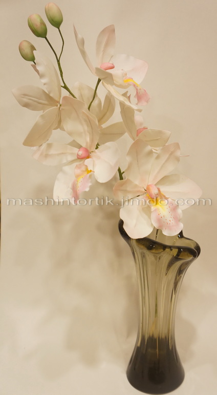 Орхидея в горшке