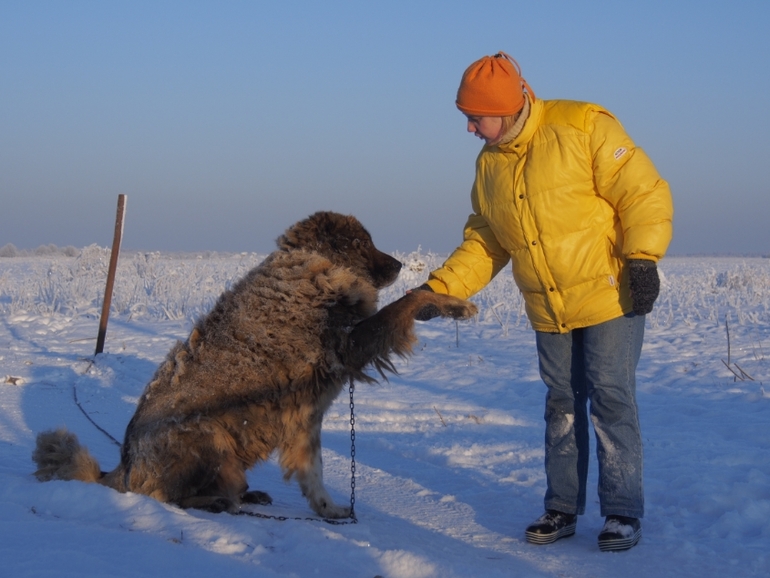 Мороз и солнце...