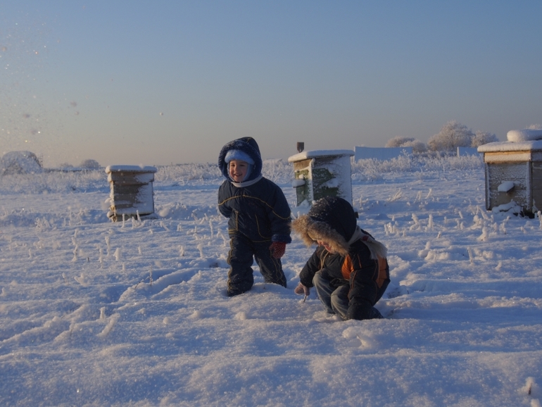 Мороз и солнце...